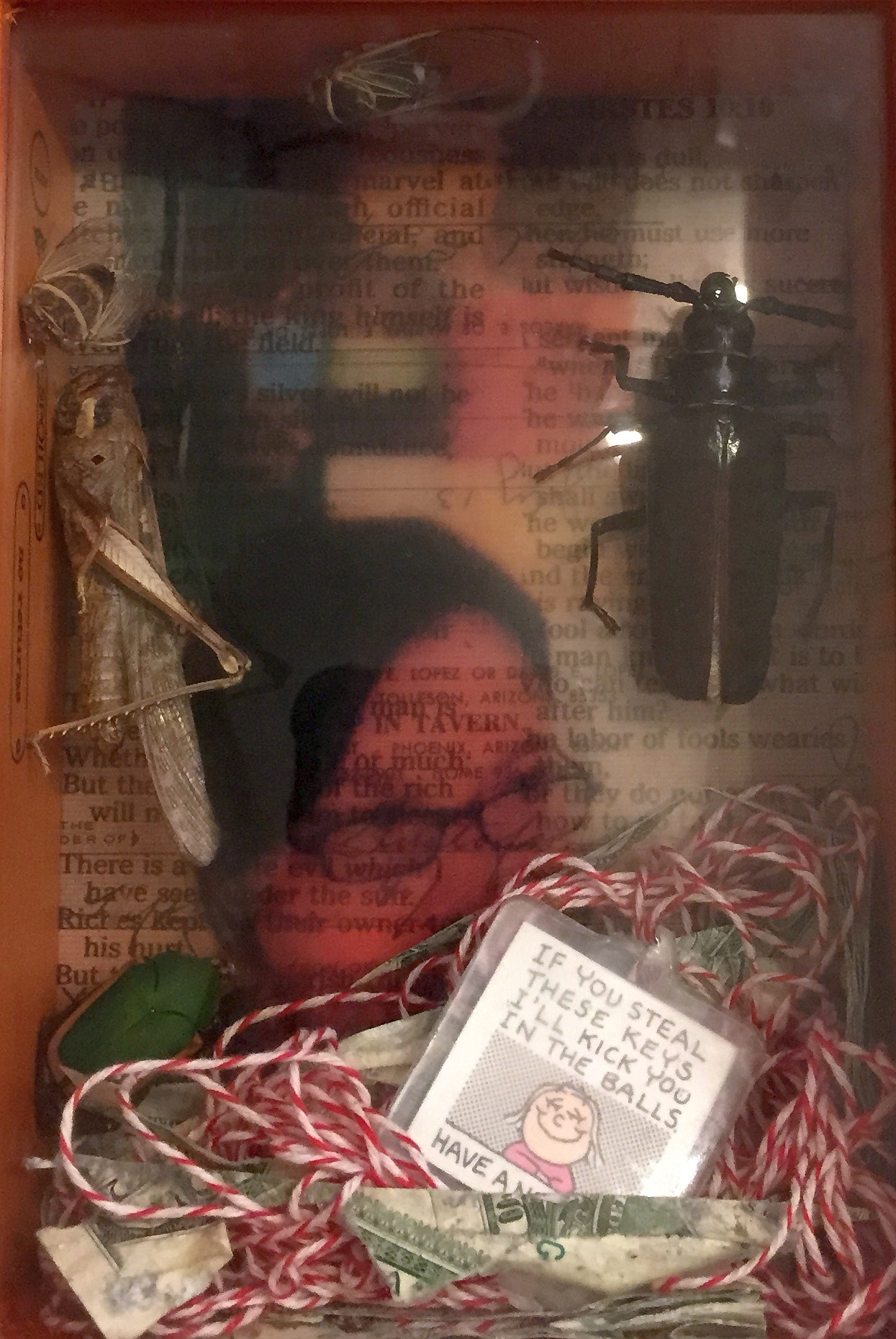 Mixed media shadow box by artist Judith Ann Miller, money, red tape, bugs, Letraset & transparencies