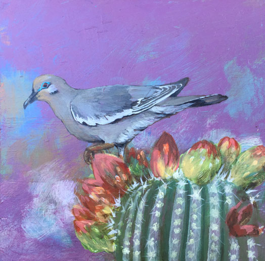 Acrylic artwork by Judith Dauncey, white winged dove on cactus with abstract background