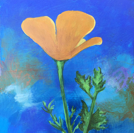 Original artwork by Judith Dauncey, acrylic abstract background with Mexican Poppy flower