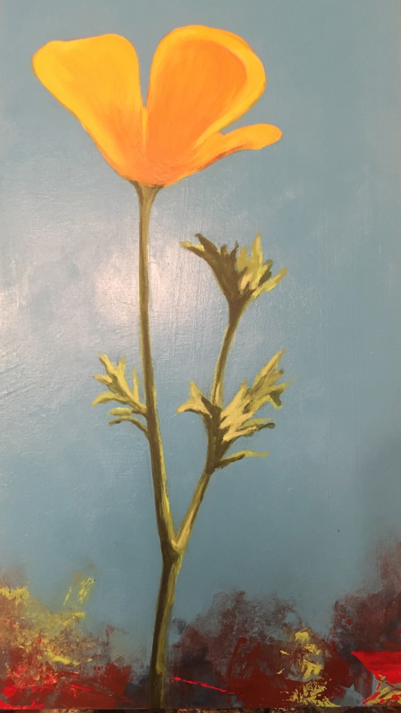 Original artwork by Judith Dauncey, acrylic abstract background with Mexican Poppy wildflower