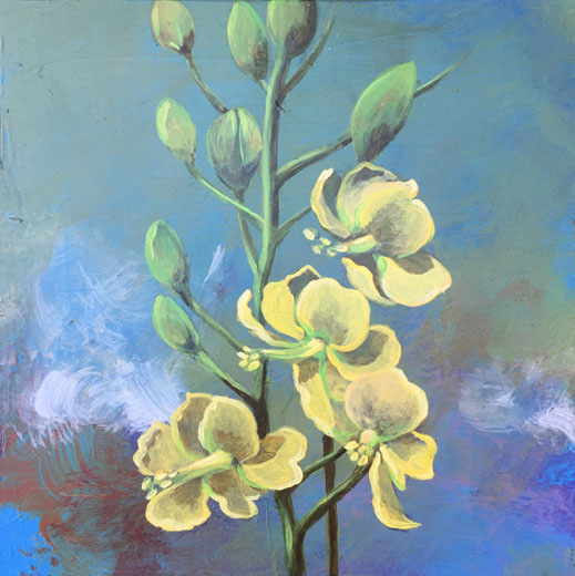 Original artwork by Judith Dauncey, acrylic abstract background with yellow wildflower